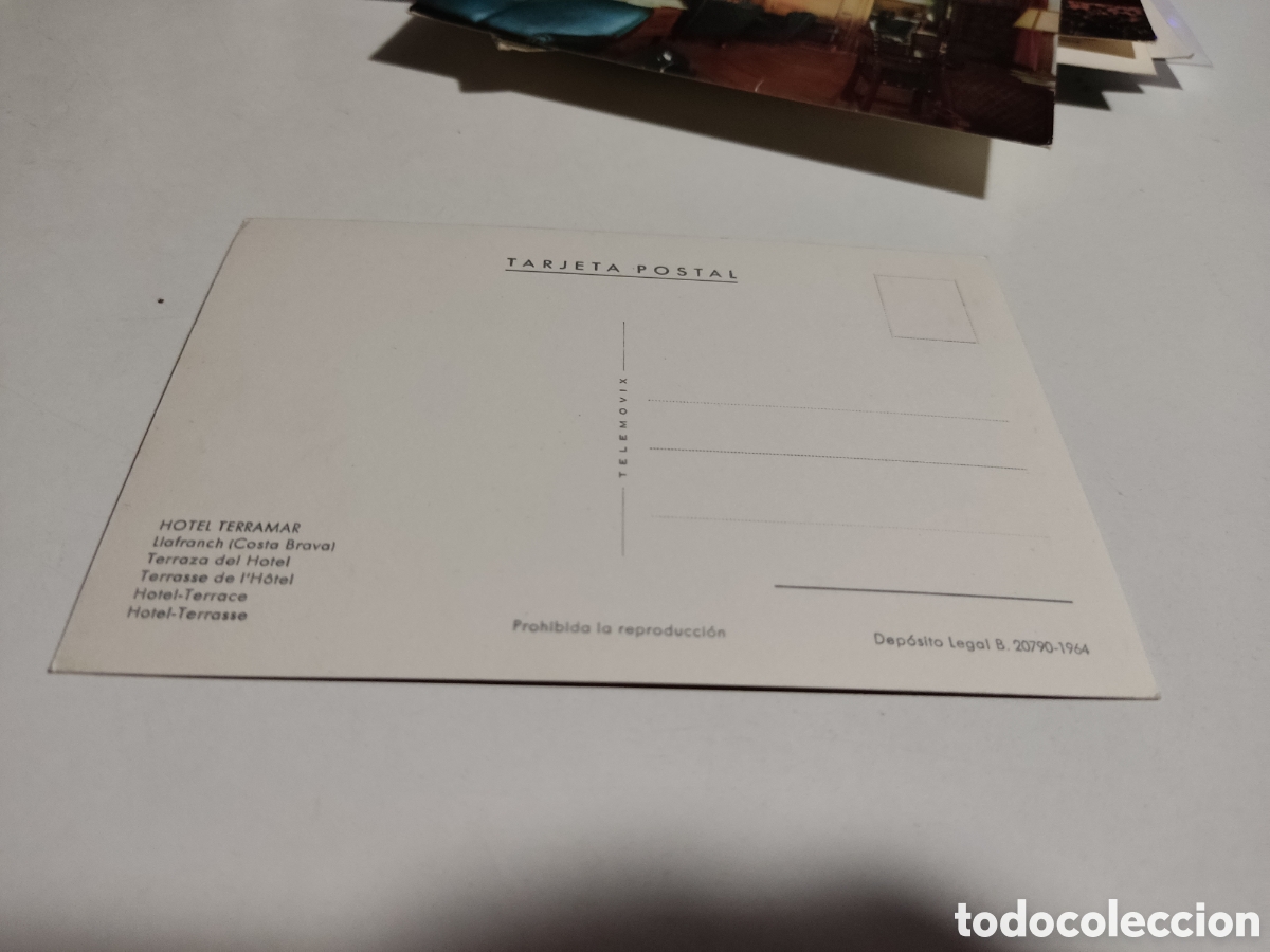 Postales: Postal Hotel Terramar,terraza - Foto 2