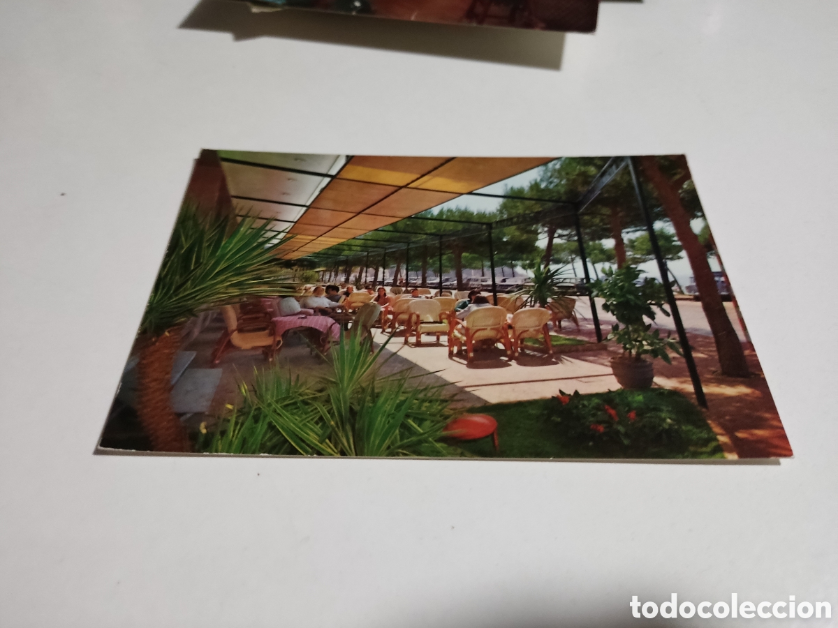 Postales: Postal Hotel Terramar,terraza - Foto 1
