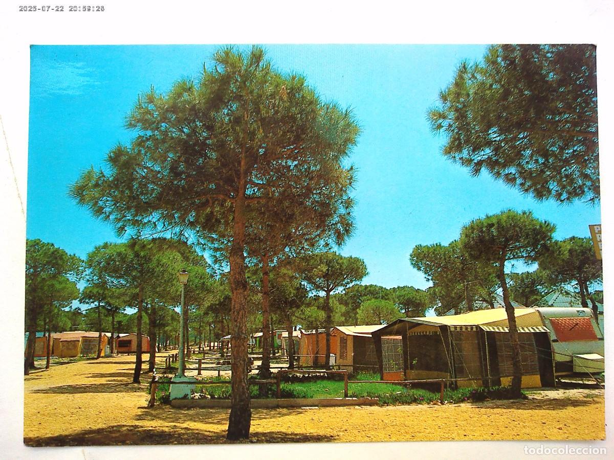 Postales: POSTAL DEL CAMPING &uml; DO&Ntilde;ANA &uml;, PLAYA . TORRE DEL LORO ( COSTA DE LA LUZ , HUELVA )