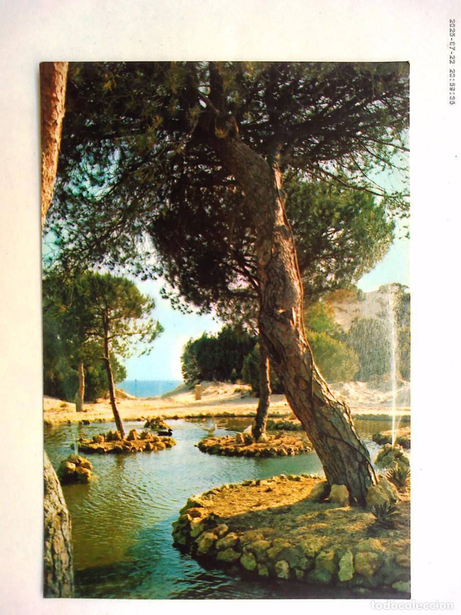 Postales: POSTAL DEL CAMPING &uml; DO&Ntilde;ANA &uml;, PALYA . TORRE DEL LORO ( COSTA DE LA LUZ , HUELVA )