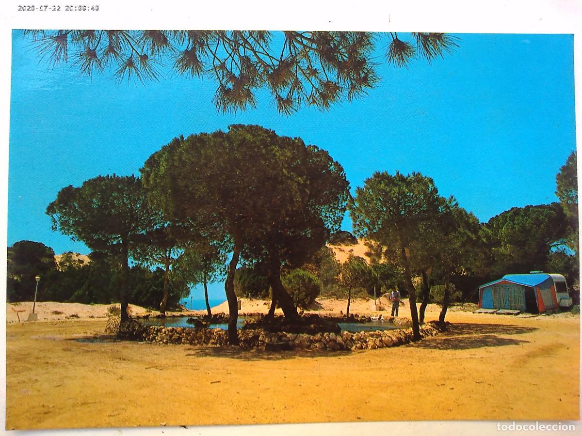 Postales: POSTAL DEL CAMPING &uml; DO&Ntilde;ANA &uml;, PLAYA . TORRE DEL LORO ( COSTA DE LA LUZ , HUELVA ). A&Ntilde;OS 70