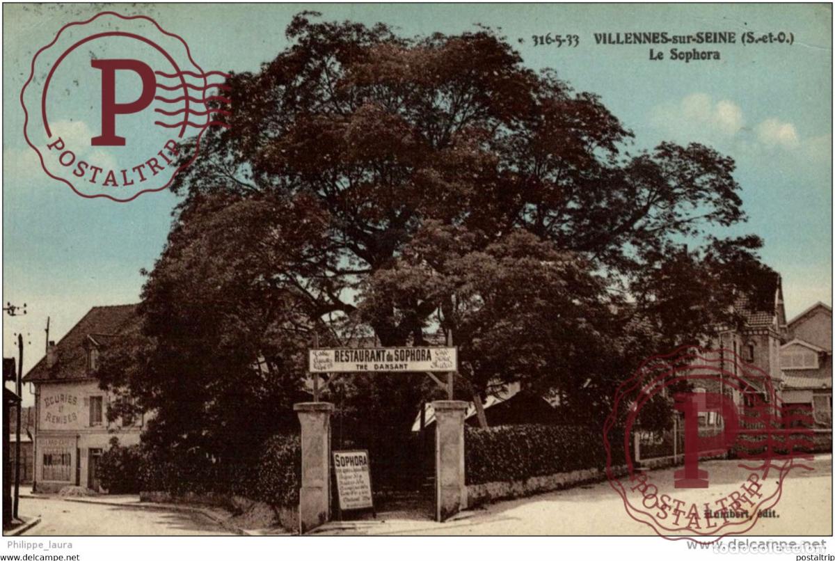 Postales: Villennes sur Seine Le c&eacute;l&egrave;bre sophora Hotel restaurante