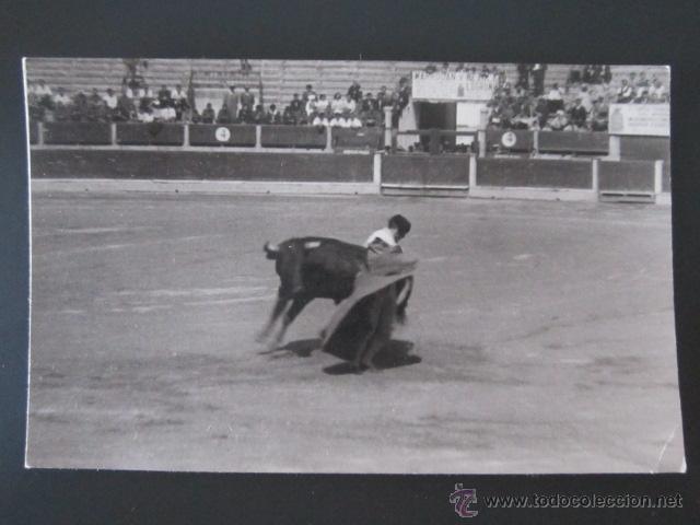 Postales: POSTAL LA RIOJA. LOGRO&Ntilde;O. TOROS. - Foto 1