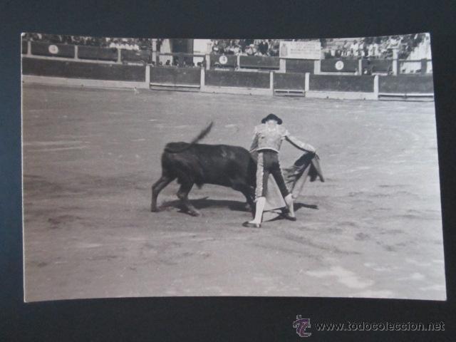 Postales: POSTAL LA RIOJA. LOGRO&Ntilde;O. TOROS. - Foto 1