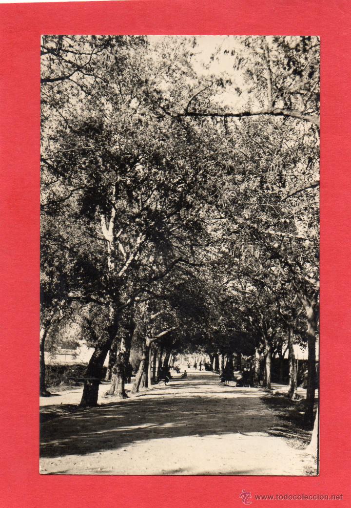 Postales: alfaro. paseo de la florida. esteban - Foto 1
