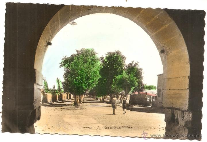 Postales: Santo Domingo de la Calzada - Foto 1