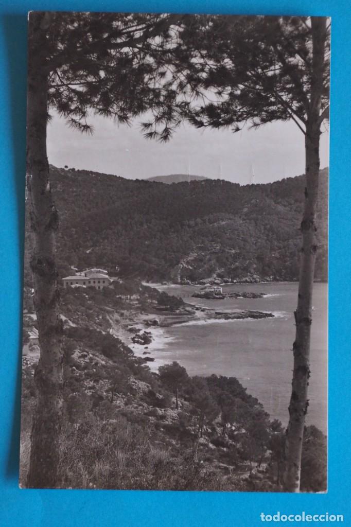 Postales: POSTAL DE MALLORCA: CAMP DE MAR - Foto 1