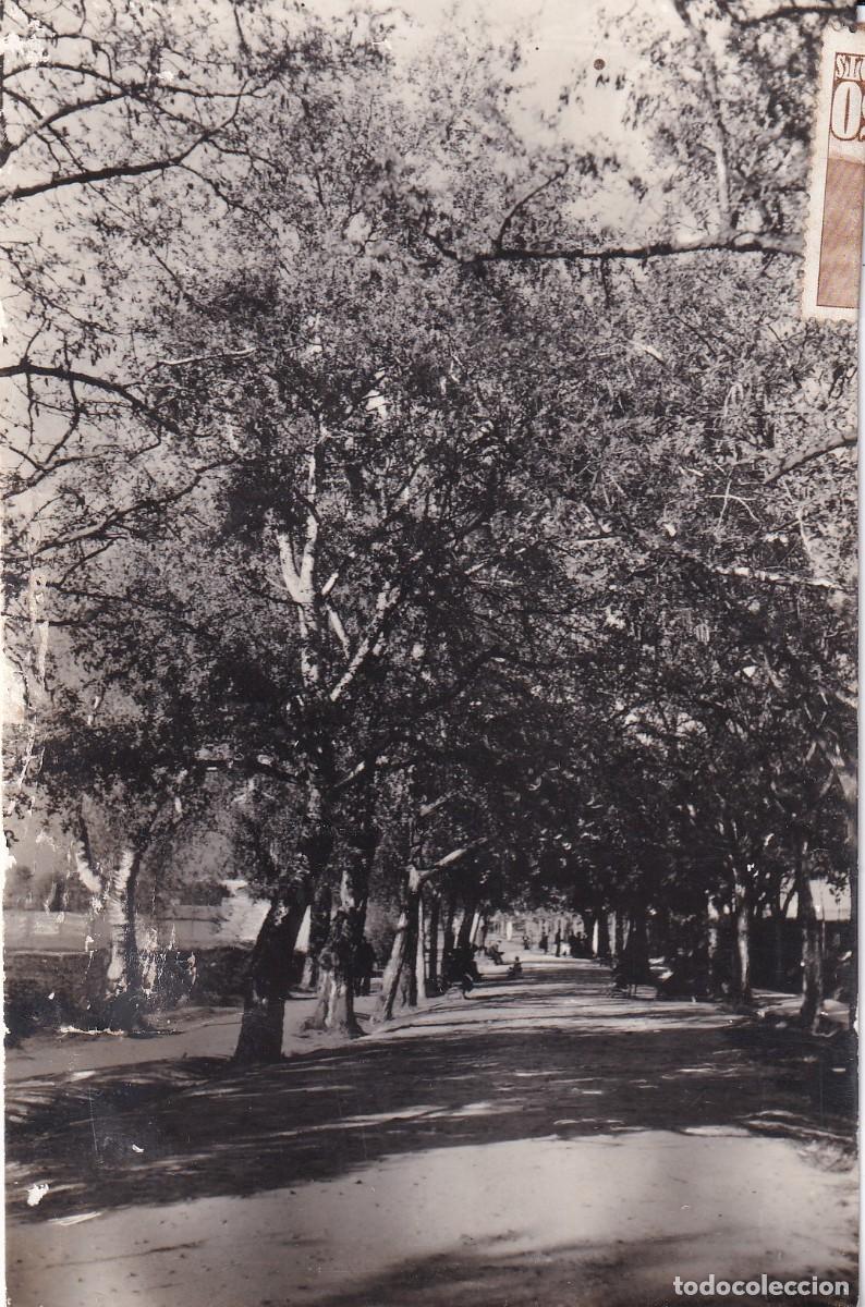 Postales: ALFARO - PASEO DE LA FLORIDA - Foto 1