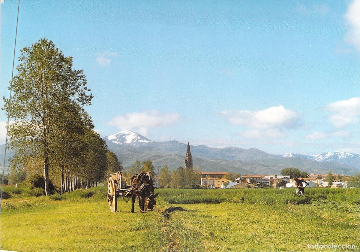 Postales: Postal de Santo Domingo de la Calzada, La Rioja - Vista General