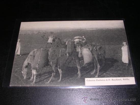 Postales: MELILLA - COLECCION EXCLUSIVA DE D. BENCHIMOL - Foto 1