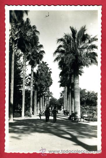 Postales: melilla, parque hernandez,   p61127 - Foto 1