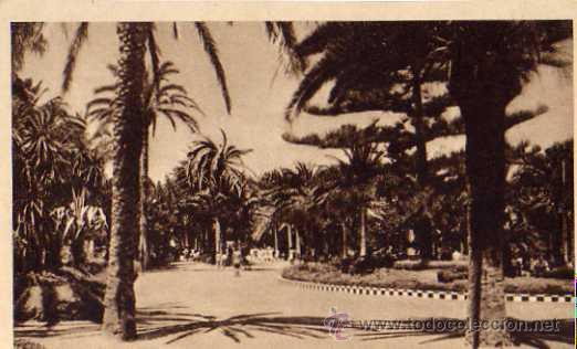 Postales: MELILLA DETALLE DEL PARQUE ESCRITA SIN CIRCULAR - Foto 1