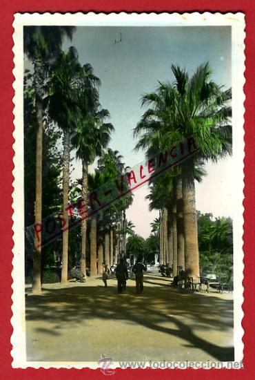 Postales: POSTAL, MELILLA, PARQUE HERNANDEZ,    P73820 - Foto 1