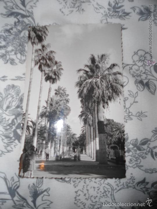 Postales: ANTIGUA POSTAL MELILLA - PARQUE HERNANDEZ - Foto 1