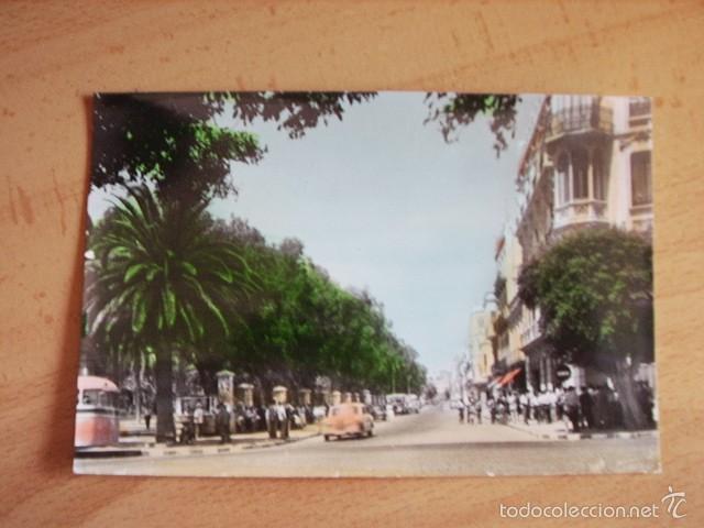 Postales: MELILLA  --   CALLE DEL GENERAL MARINA - Foto 1