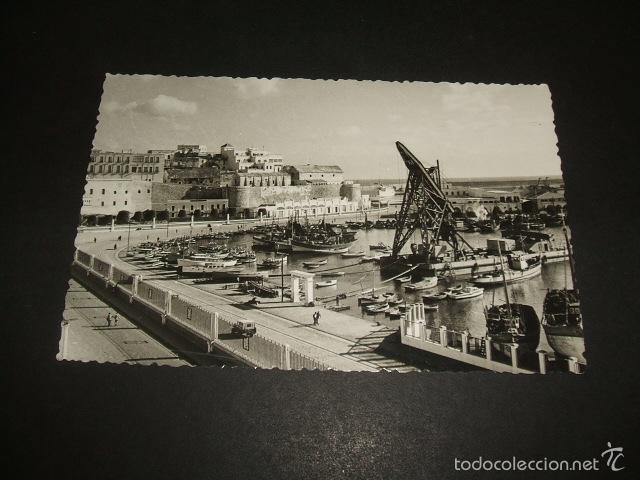 Postales: MELILLA FLOTA PESQUERA - Foto 1