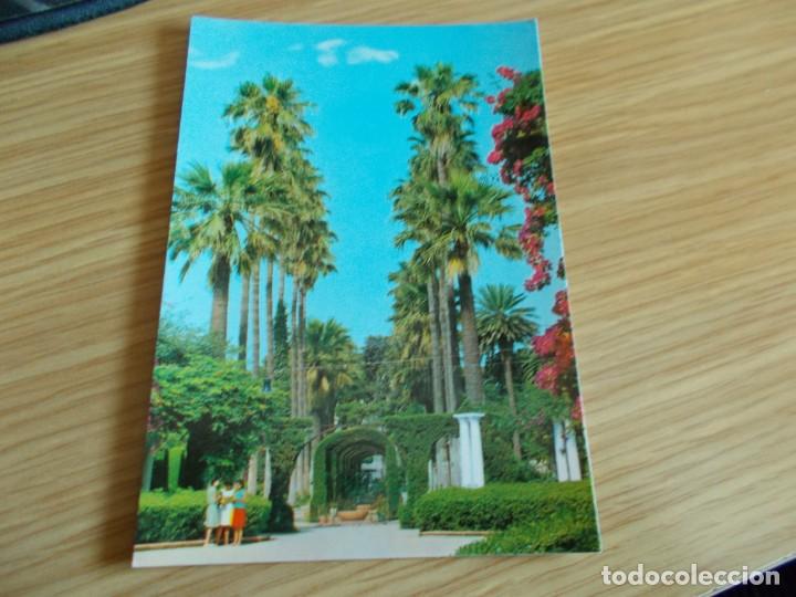 Postales: MELILLA -- PARQUE HERNANDEZ - Foto 1