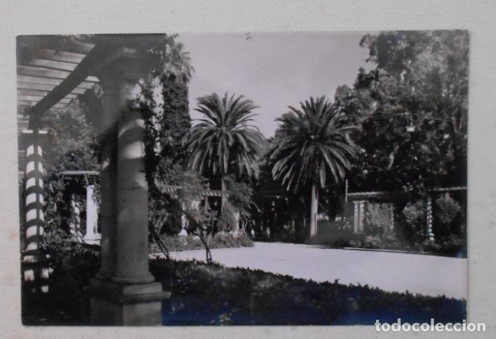 Postales: POSTAL MELILLA PARQUE HERNANDEZ - Foto 1
