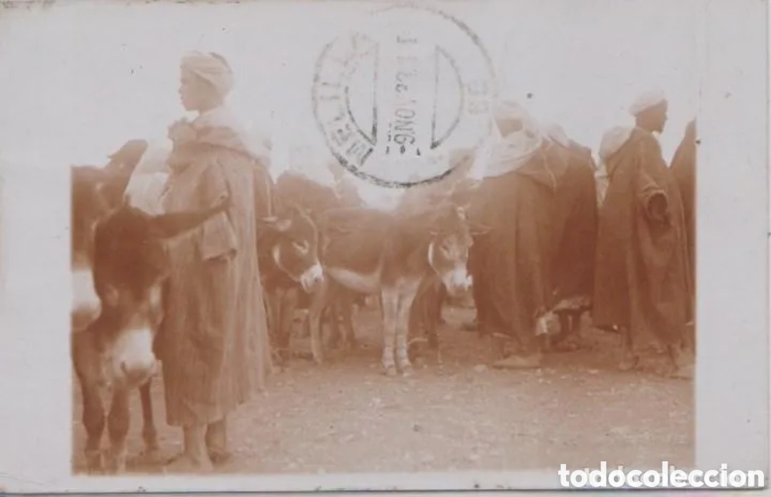 Postales: MELILLA - GRUPO DE BURROS - Foto 1