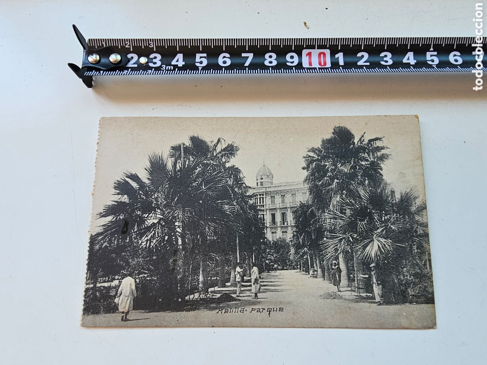 Postales: Postal de Melilla, Parque 1910s 1920s - Foto 2