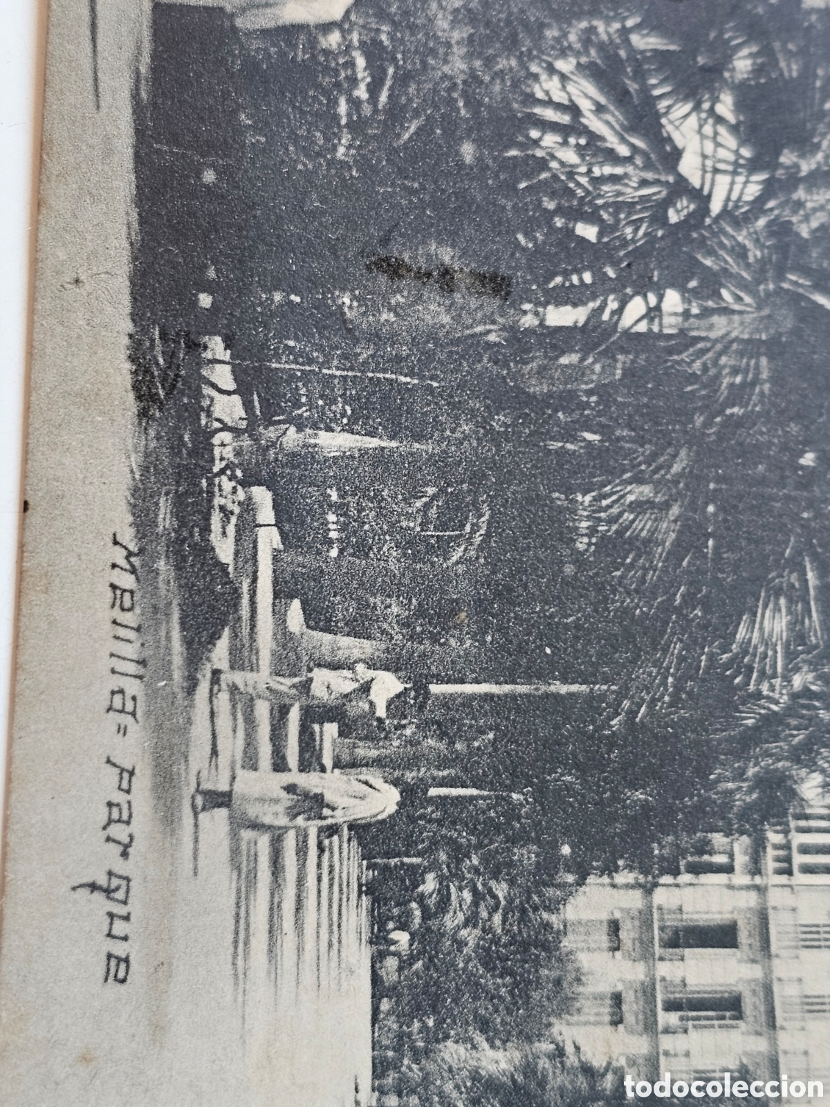 Postales: Postal de Melilla, Parque 1910s 1920s - Foto 3
