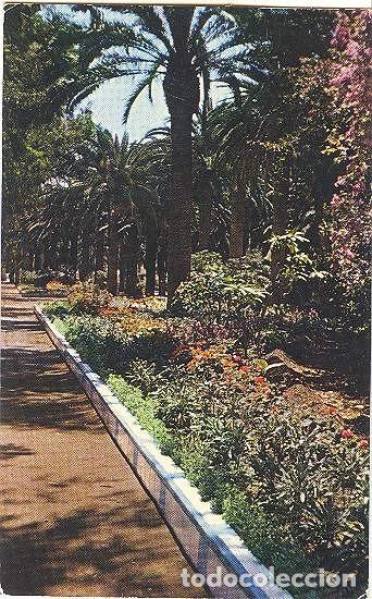 Postales: Melilla - Paseo del Parque - Foto 1