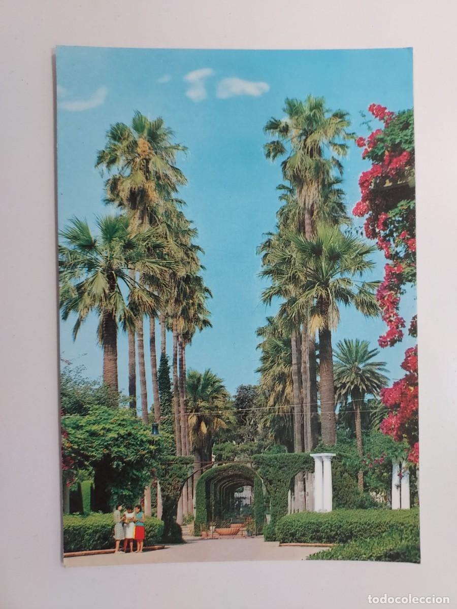 Postales: POSTAL MELILLA PARQUE HERNANDEZ. SIN CIRCULAR. 1965 - Foto 1