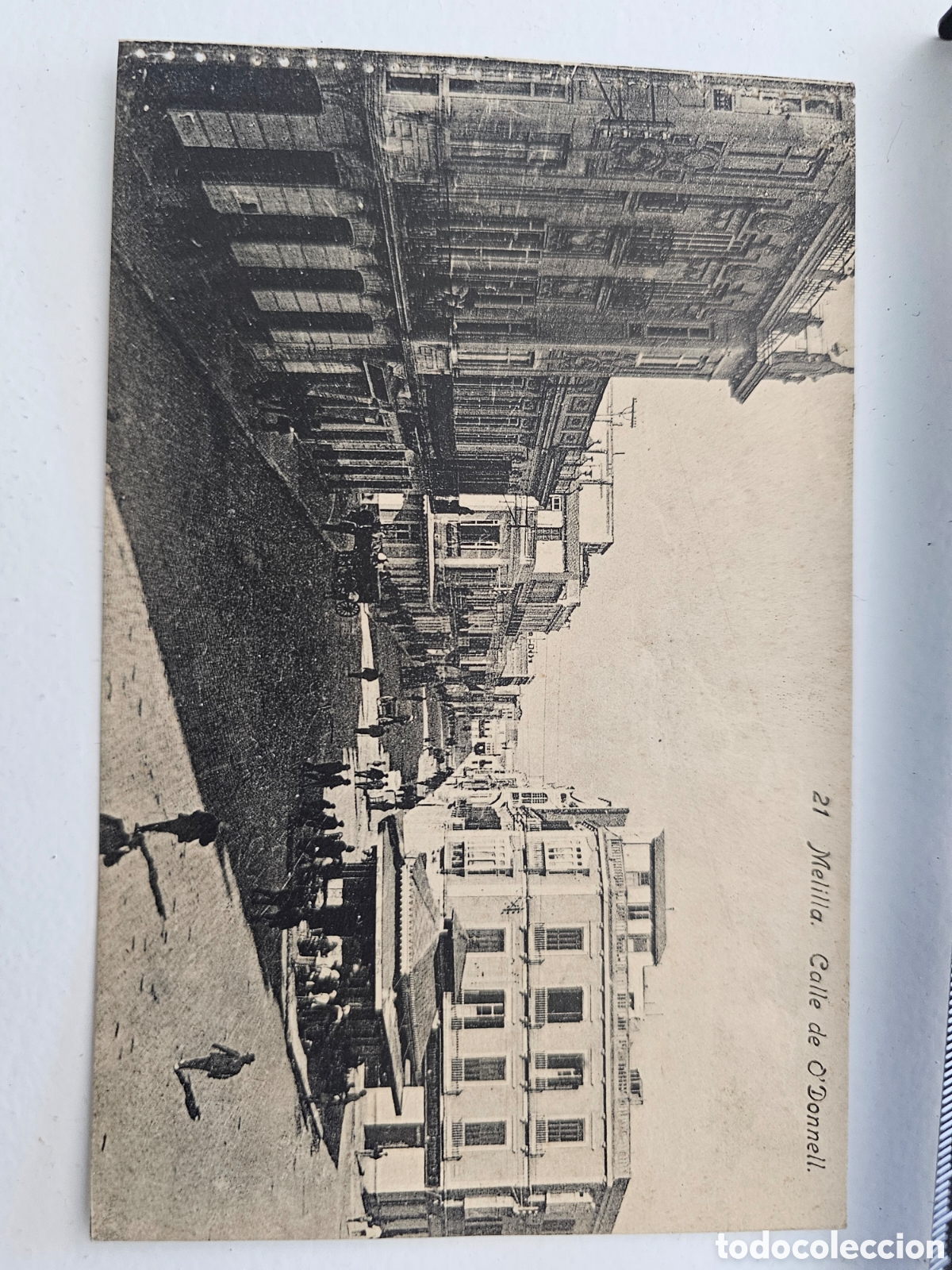 Postales: Postal de Melilla n&deg;21 Calle O'donnell 1910s 1920s