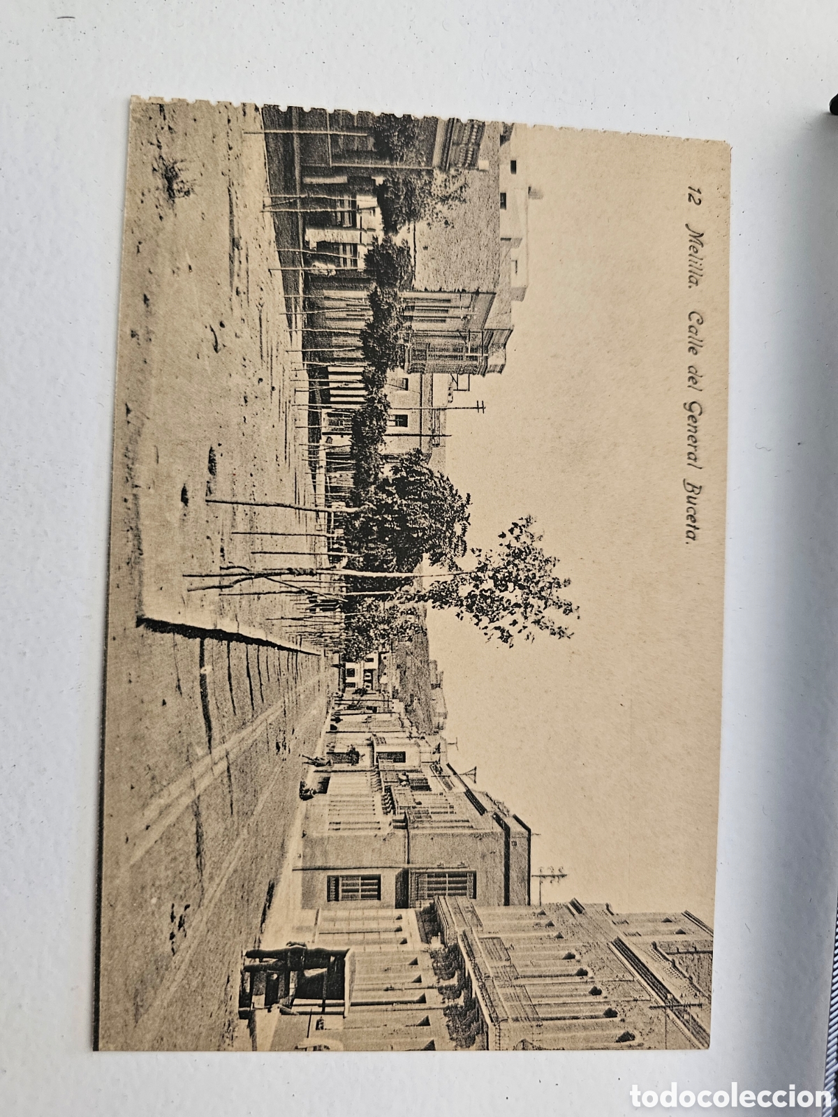 Postales: Postal de Melilla n &deg;12 Calle del General Buceta 1910s 1920s