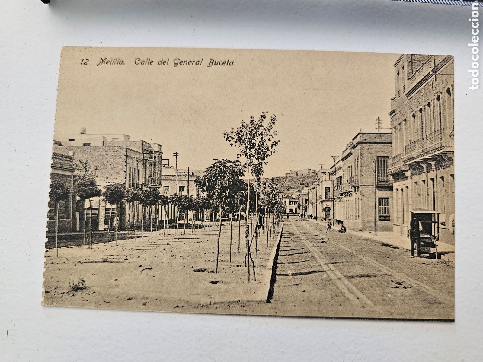 Postales: Postal de Melilla n &deg;12 Calle del General Buceta 1910s 1920s