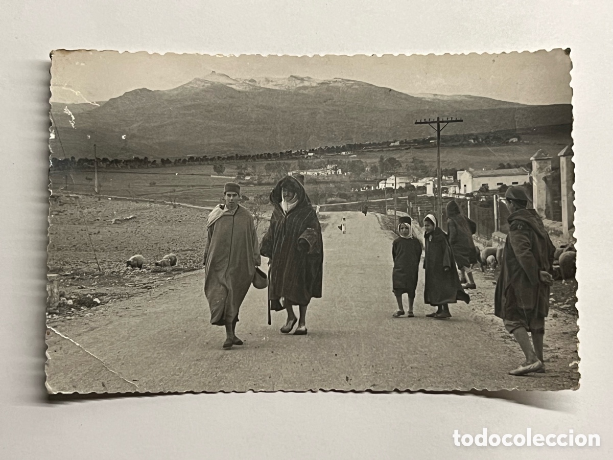 Postales: MELILLA. Foto Postal, Vista panor&aacute;mica con el monte Gurug&uacute; nevado al fondo. Circulada a Sueca.