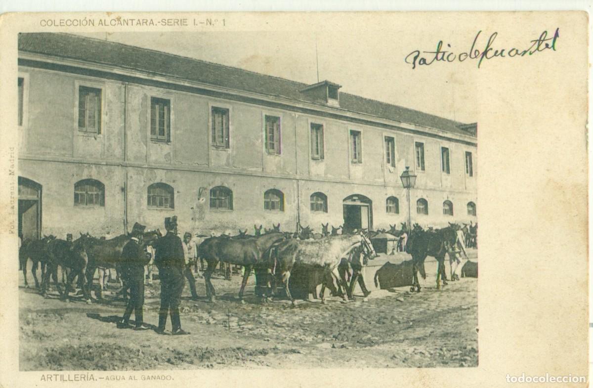 Postales: ARTILLERIA. AGUA AL GANADO. HACIA 1920. MUY RARA.