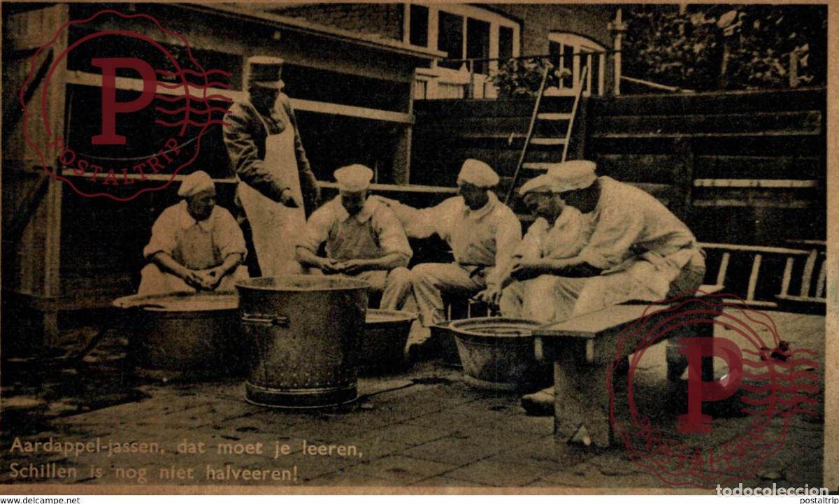 Cartes Postales: AARDAPPEL-JASSEN, DAT MOET JE LEEREN, SCHILLEN IS NOG NIET HALVEEREN MILITAIRE MILIT&Auml;R MILITARY