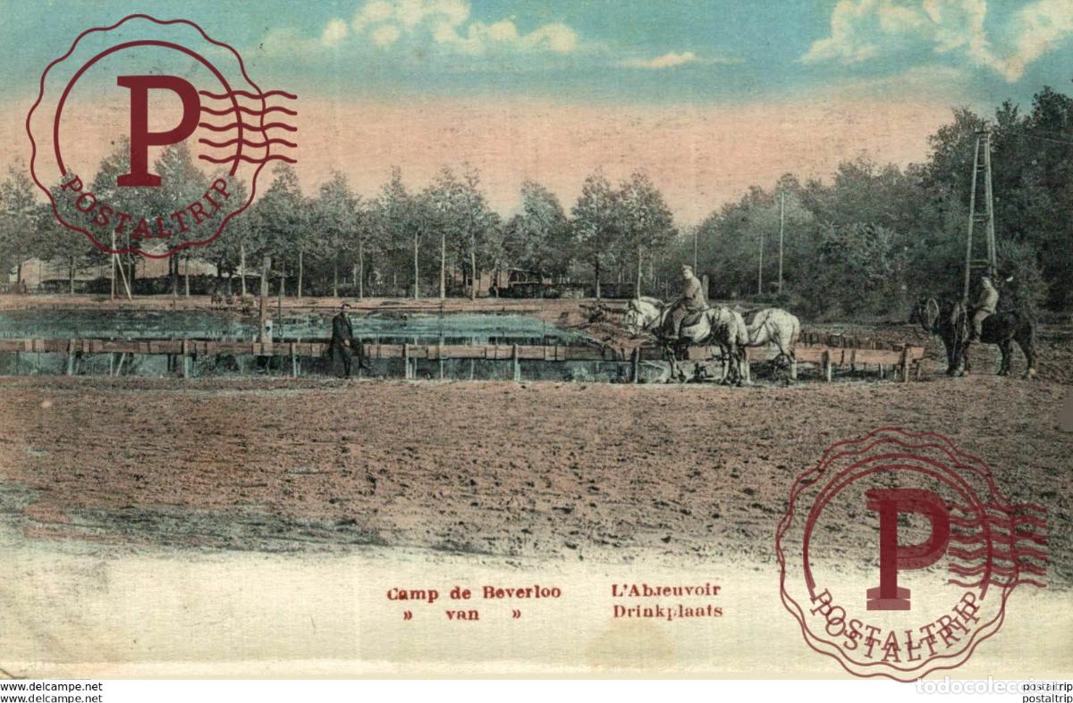 Postcards: LAbreuvoir, Drinkplaats LEOPOLDSBURG BOURG LEOPOLD Camp de BEVERLOO KAMP WWICOLLECTION