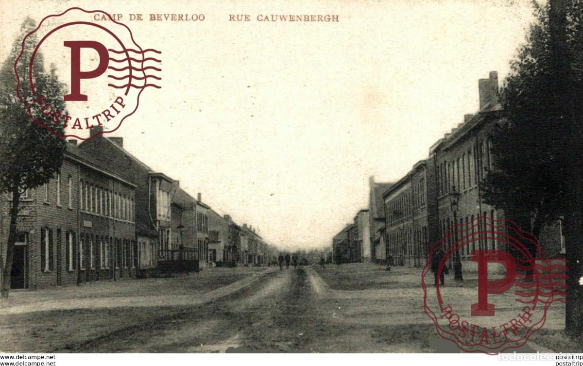Postcards: RUE CAUWENBERGH LEOPOLDSBURG BOURG LEOPOLD Camp de BEVERLOO KAMP WWICOLLECTION