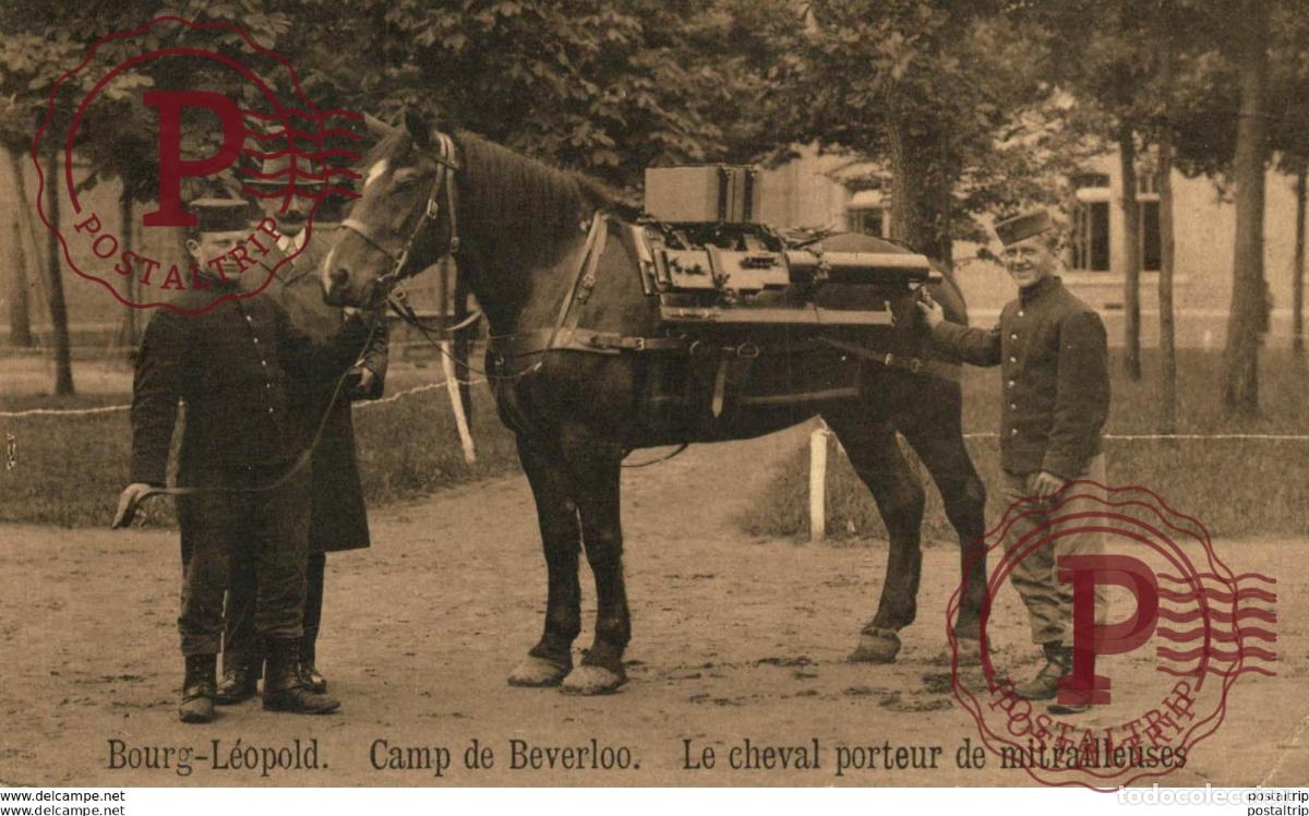 Postcards: Le cheval porteur de mitrailleuses LEOPOLDSBURG BOURG LEOPOLD Camp de BEVERLOO KAMP WWICOLLECTION