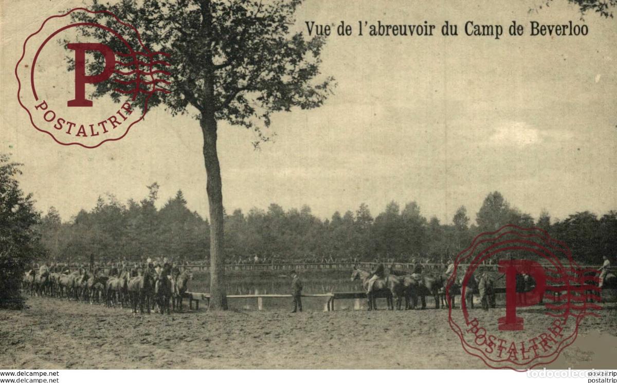 Postcards: VUE DE LABREUVOIR LEOPOLDSBURG BOURG LEOPOLD Camp de BEVERLOO KAMP WWICOLLECTION