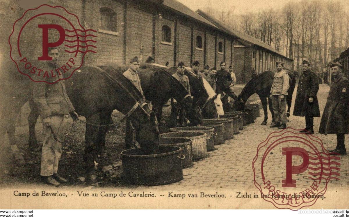 Postales: VUE AU CAMP DE CAVALERIE - Camp de BEVERLOO KAMP LEOPOLDSBURG BOURG LEOPOLD WWICOLLECTION