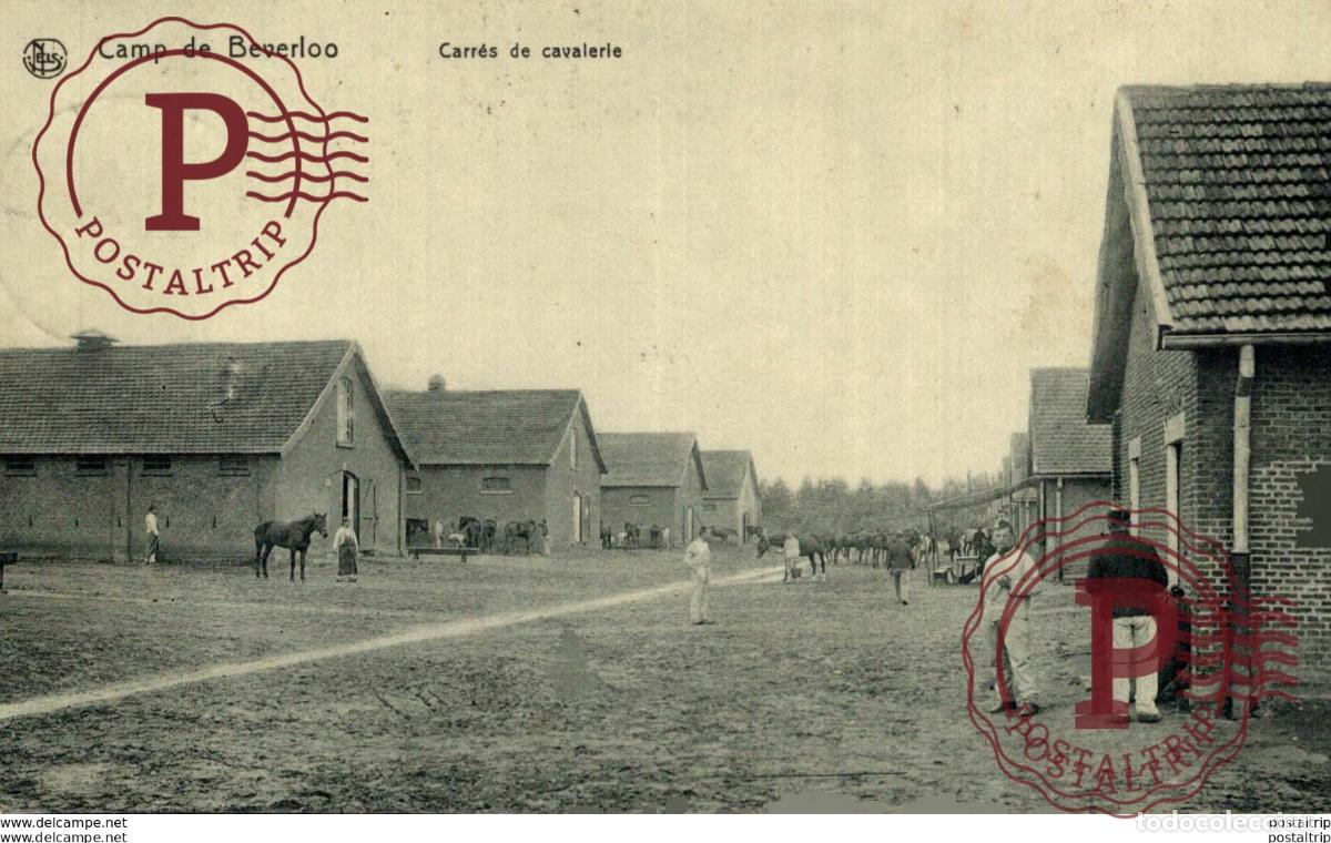 Postcards: CARR&Eacute;S DE CAVALERIE - Camp de BEVERLOO KAMP LEOPOLDSBURG BOURG LEOPOLD WWICOLLECTION