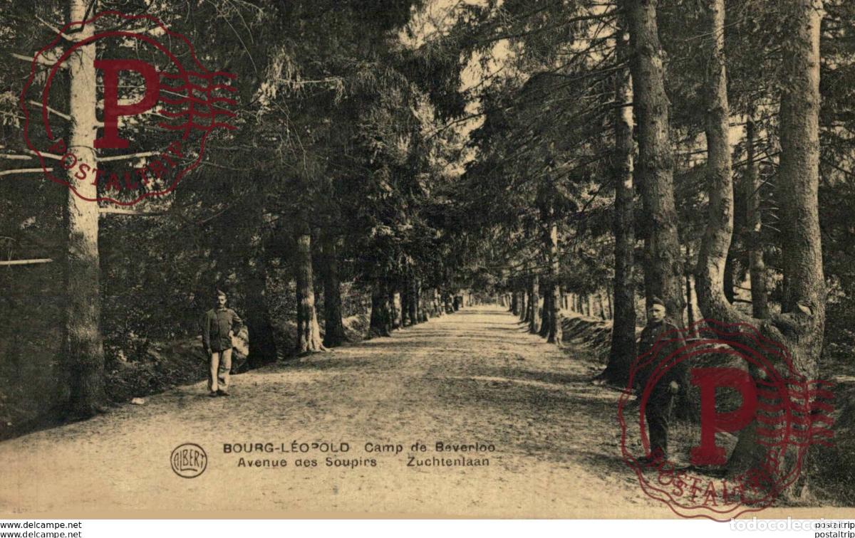 Postales: AVENUE DES SOUPIRS, ZUCHTENLAAN - Camp de BEVERLOO KAMP LEOPOLDSBURG BOURG LEOPOLD WWICOLLECTION