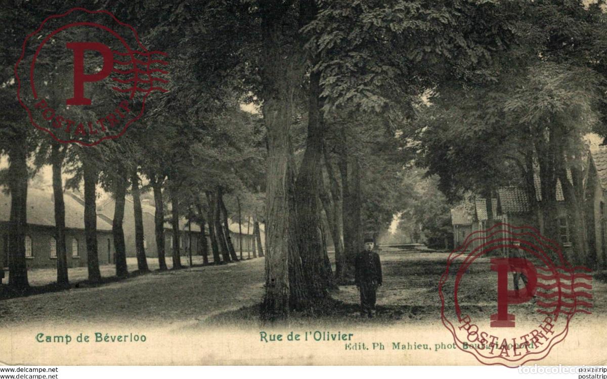 Postales: RUE DE LOLIVIER - Camp de BEVERLOO KAMP LEOPOLDSBURG BOURG LEOPOLD WWICOLLECTION