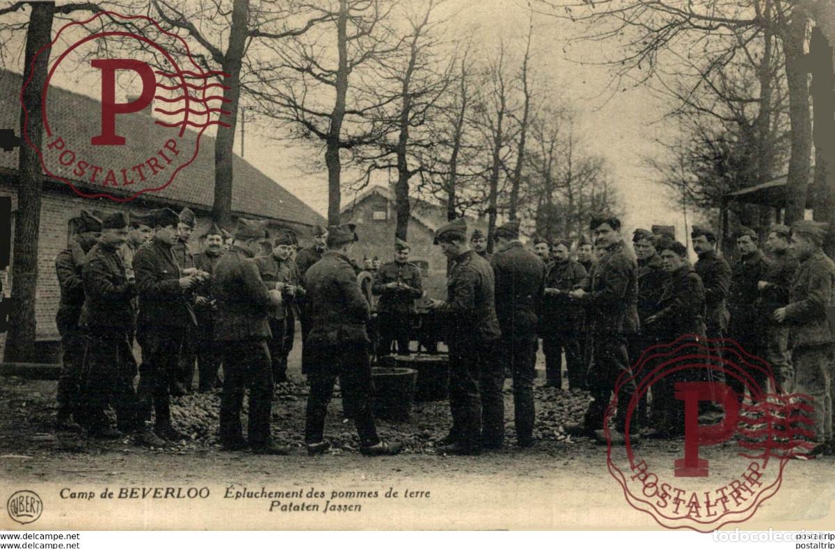 Postales: EPLUCHEMENT DES POMMES DE TERRE - Camp de BEVERLOO KAMP LEOPOLDSBURG BOURG LEOPOLD WWICOLLECTION
