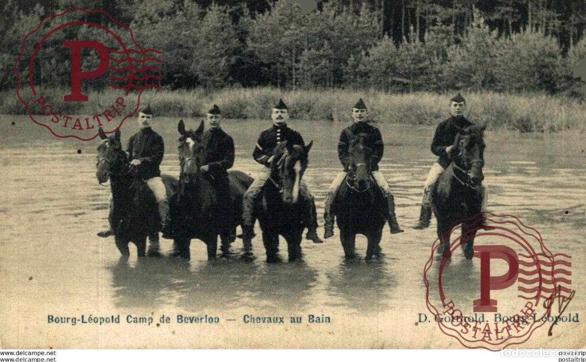 Postales: CHEVAUX AU BAIN. Camp de BEVERLOO KAMP LEOPOLDSBURG BOURG LEOPOLD WWICOLLECTION