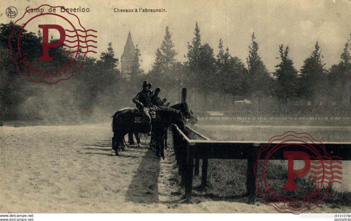 Postales: CHEVAUX &Agrave; LABREUVOIR. Camp de BEVERLOO KAMP LEOPOLDSBURG BOURG LEOPOLD WWICOLLECTION