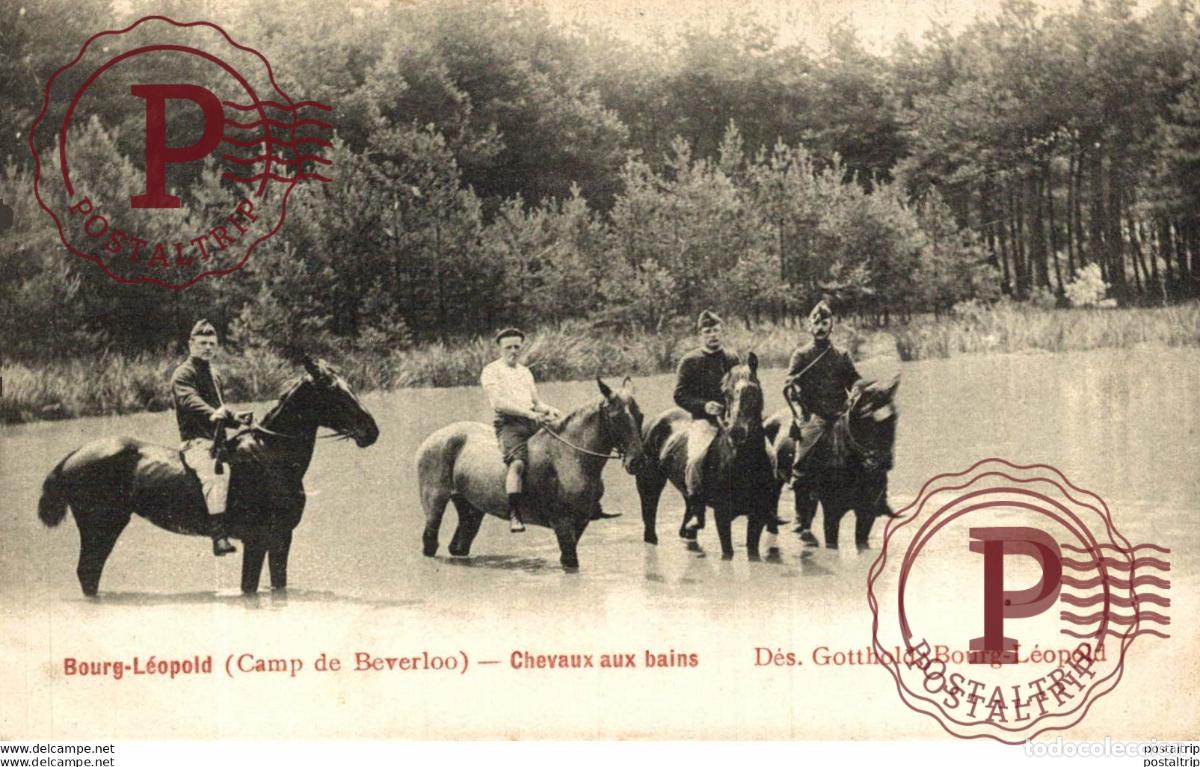 Postales: CHEVAUX AUX BAINS. Camp de BEVERLOO KAMP LEOPOLDSBURG BOURG LEOPOLD WWICOLLECTION