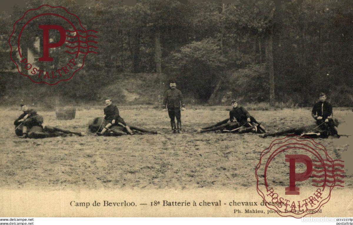 Postales: 18&ordm; BATTERIE &Agrave; CHEVAL, CHEVAUX DRESS&Eacute;S. Camp de BEVERLOO KAMP LEOPOLDSBURG BOURG LEOPOLD WWICOLLECTI
