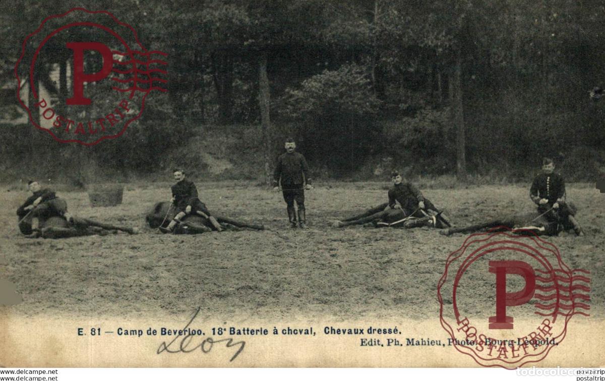 Postales: 18&ordm; BATTERIE A CHEVAL, CHEVAUX DRESS&Eacute;. Camp de BEVERLOO KAMP LEOPOLDSBURG BOURG LEOPOLD WWICOLLECTIO