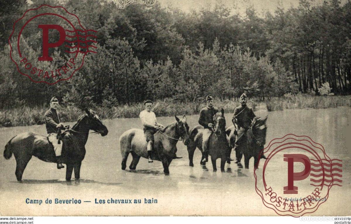 Postales: LES CHEVAUX AU BAIN. Camp de BEVERLOO KAMP LEOPOLDSBURG BOURG LEOPOLD WWICOLLECTIO