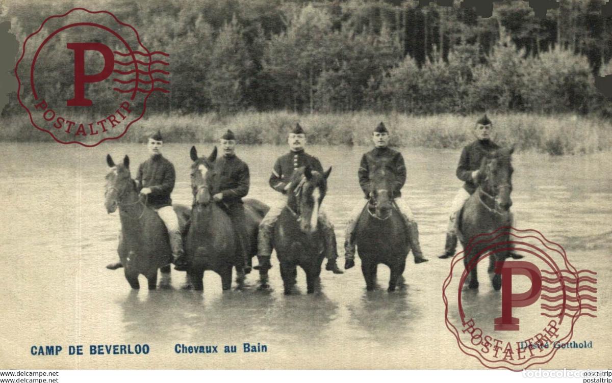 Postales: CHEVAUX AU BAIN. Camp de BEVERLOO KAMP LEOPOLDSBURG BOURG LEOPOLD WWICOLLECTIO