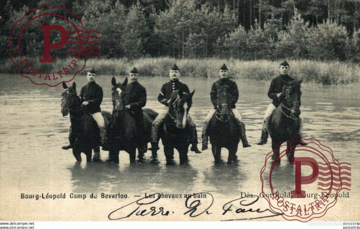 Postales: LES CHEVAUX AU BAIN. Camp de BEVERLOO KAMP LEOPOLDSBURG BOURG LEOPOLD WWICOLLECTIO